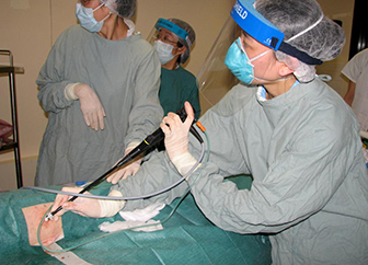 Pleuroscopy