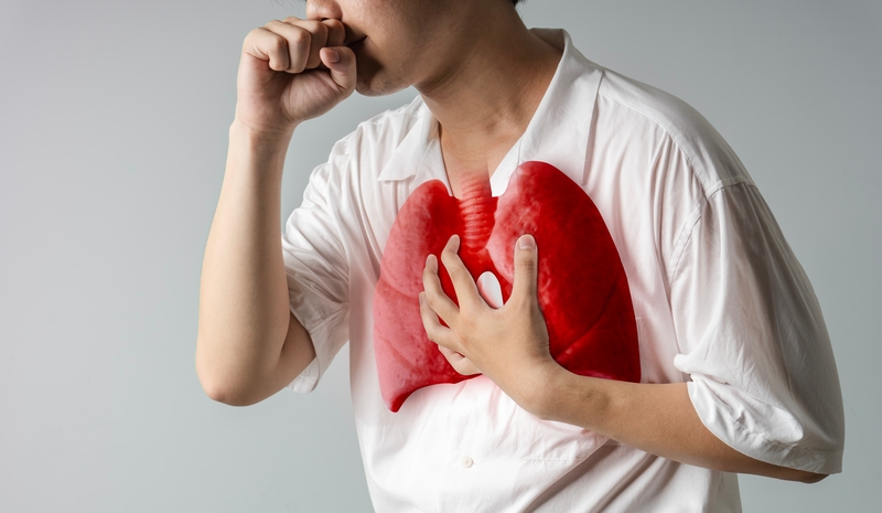 Understanding Tuberculosis